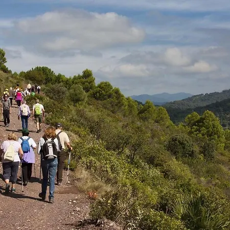 Al4-2107 - - Alcazaba Lagoon Apartman Estepona