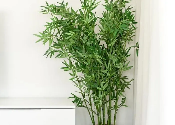 Lejlighed Al4-2107 - - Alcazaba Lagoon