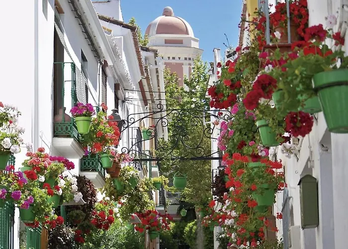 Al4-2107 - - Alcazaba Lagoon